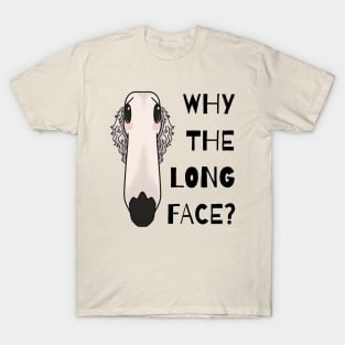 Why The Long Face Borzoi Dog Breed T-Shirt